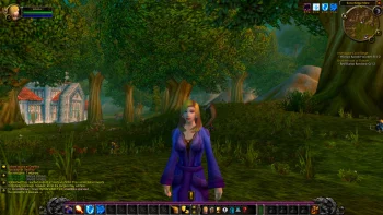 World of Warcraft (2004) — ყველაზე დიდი MMORPG და ციფრული სამყაროს ეპოქა