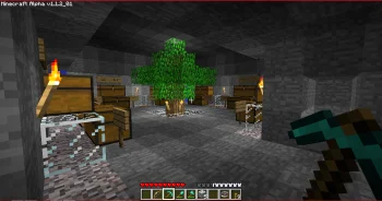 Minecraft (Alpha v1.1.2) — ყველაზე ძველი სერვერი, ციფრული მუზეუმი გეიმერებისთვის