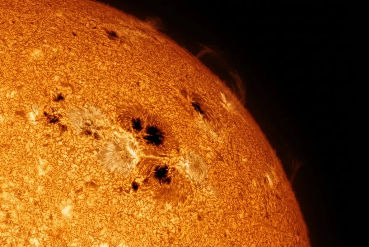 The Living Star: Intense Sunspot Activity During Solar Maximum
