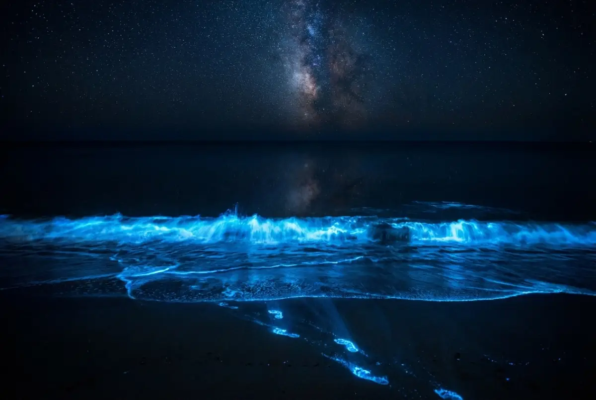 Liquid Light: The Electric Blue Glow of Bioluminescent Plankton at Night