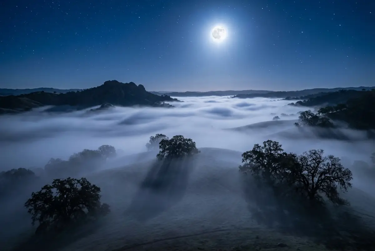 The Earth That Breathes at Night: The Living Motion of Fog Across Fields and Forests