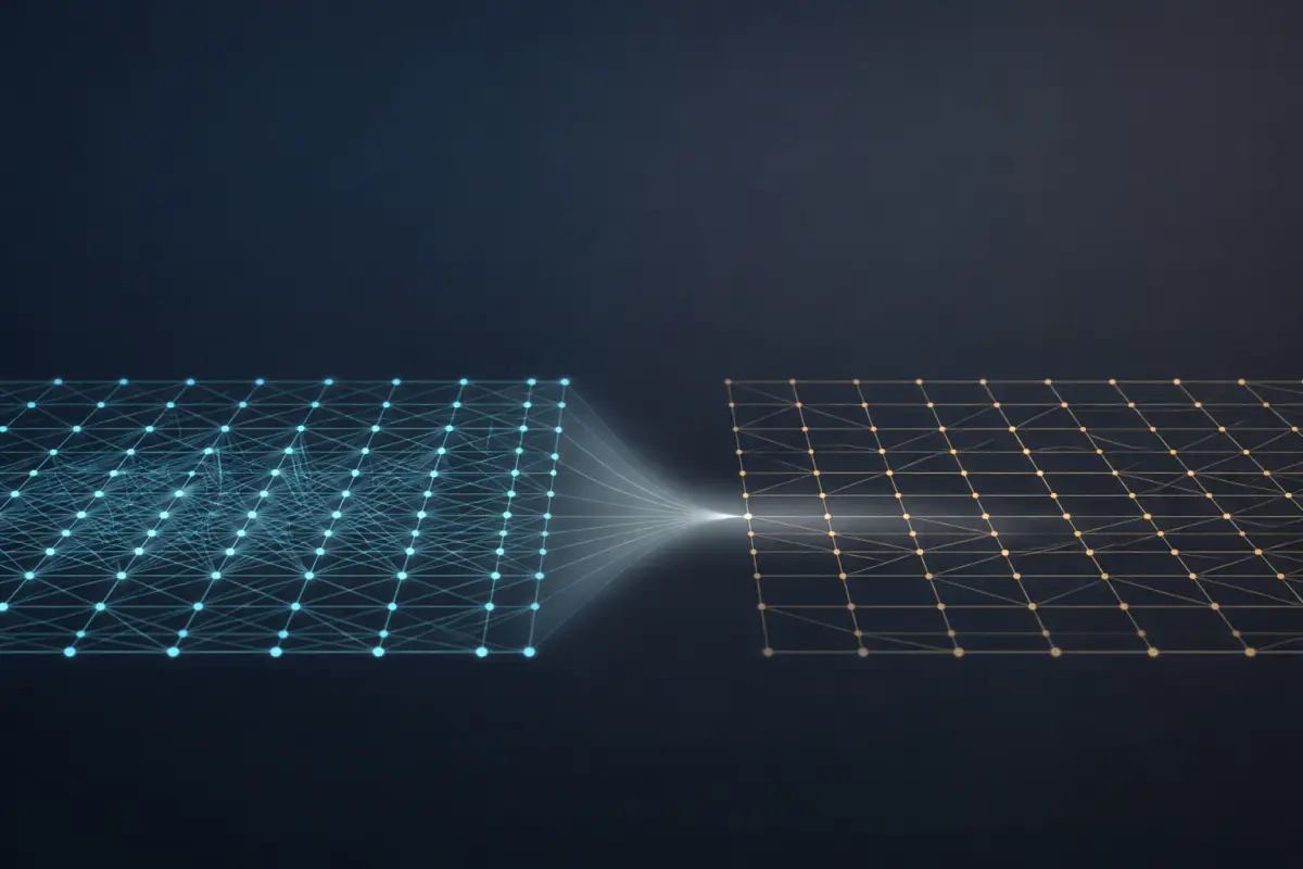 Neural Network Data Asymmetry and Optimization Bias Visualization